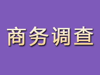 鸡东商务调查